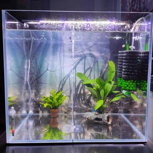 <span class=keywords><strong>Filtre</strong></span> à éponge bio silencieux QANVEE à double tête |   <span class=keywords><strong>Filtre</strong></span> pour aquarium de poissons rouges et crevettes <span class=keywords><strong>Betta</strong></span> QS-100/100A/200/200A - Product Image 3