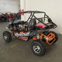 Kart de route Richi à moteur 200cc refroidi par huile, 4 temps, vitesse maximale 70 km/h, 2 places, puissance stable, idéal pour les parcs d'attractions et sites touristiques
