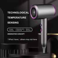 Secador de Pelo Iónico Profesional, Bajo Ruido, Protección Contra Sobrecalentamiento, Apagado Automático, Iones Negativos, Uso en Salón, Hogar, Hotel, Exportación al por Mayor OEM