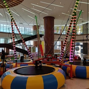 Trong Nhà Và Ngoài Trời Tập Thể Dục Nhà Máy Giá Bán Buôn, Trẻ Em Và Người Lớn Bốn Trong Một <span class=keywords><strong>Bungee</strong></span> Nhảy Dây Thừng Và Khai Thác - Product Image 3