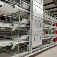 Système de cages à poulets multi-niveaux de type H, cage à batterie automatique, équipement en acier galvanisé pour élevage avicole