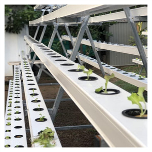 Sistema de cultivo de invernadero en forma de A vertical Sistema hidropónico de Nft de Marco A Plantación de <span class=keywords><strong>cultivos</strong></span> de frutas de hojas con plantas bajas y cortas - Product Image 1