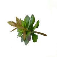 Plantes artificielles miniatures non en pot, aspect réaliste, pour décoration intérieure, Noël, Thanksgiving, écologiques, vente en gros, DIY