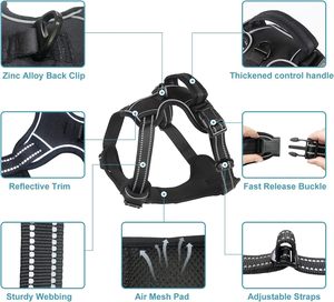 Manufacturers OEM Custom Oxford Adjustable Luxury Designer <b>Pet</b> Dog Leash and Dog <b>Harness</b> Set No Pull Custom <b>Pet</b> Dog <b>Harness</b> - Product Image 2