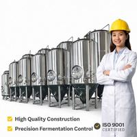 Fermenteur Conique Unitank en Acier Inoxydable pour Brassage Domestique 200L 500L 1000L 1Bbl 3Bbl 5Bbl 7Bbl