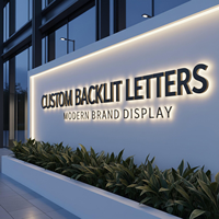 Lettres en métal 3D personnalisées avec logo en or, rétroéclairées par LED, pour la décoration intérieure des magasins de marques de luxe, lettres en métal pour murs