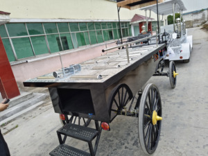 Último modelo de remolque fúnebre eléctrico para caballos, duradero, de un solo eje, para funerarias, en venta - Product Image 5