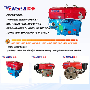 Moteur diesel Tengka R190 10 CV monocylindre refroidi par eau pour tracteur agriculture africaine - Product Image 5