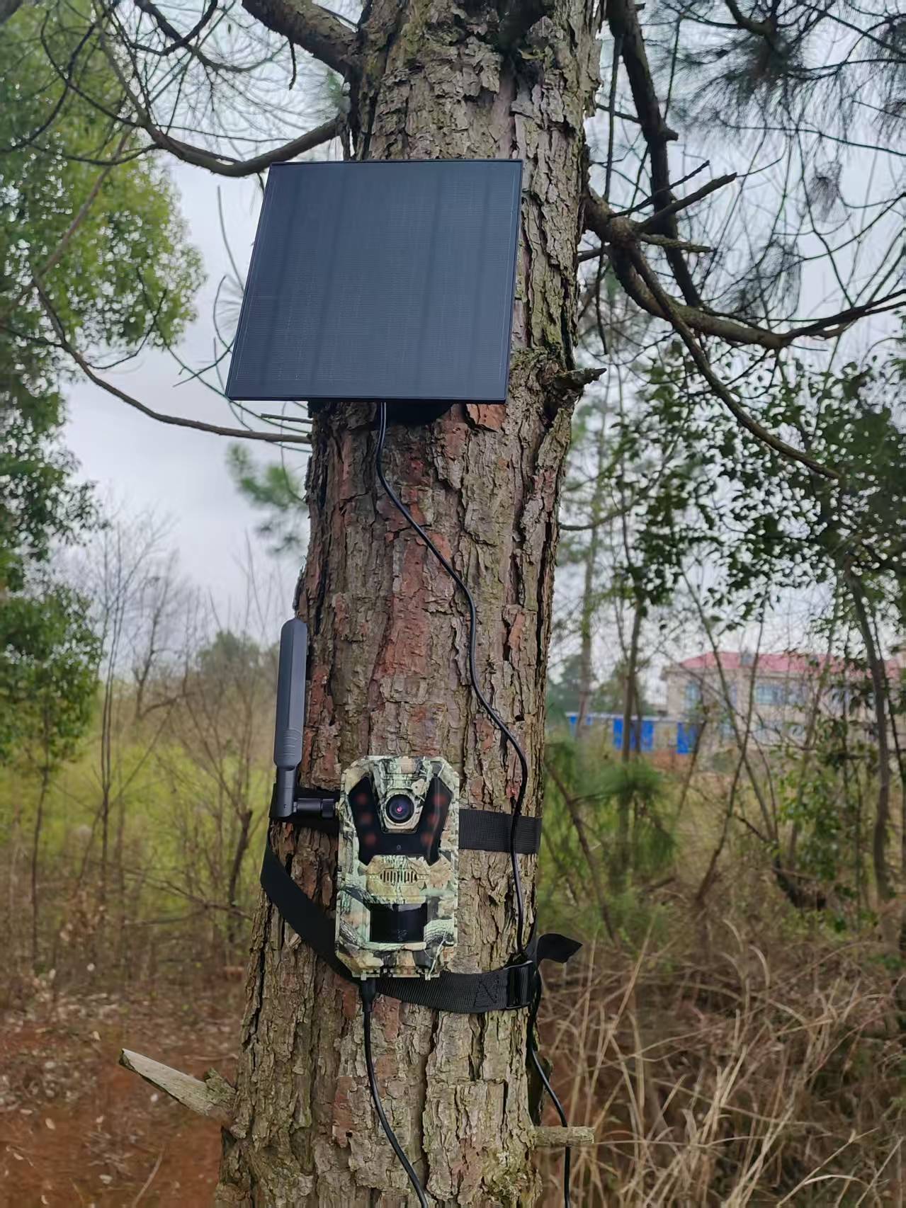 Panneau solaire J10 édition américaine