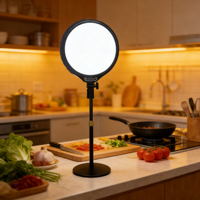 Anneau lumineux LED 10 pouces avec support, luminosité réglable, extensible, alimentation CA/CC, contrôle filaire, kit d'éclairage portable pour maquillage