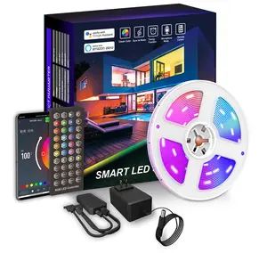 Ev parlak 5M 10M 15M 16 milyon renk Alexa telefon App kontrollü müzik lamba akıllı LED WiFi 5050 RGB şerit ışıkları ev için