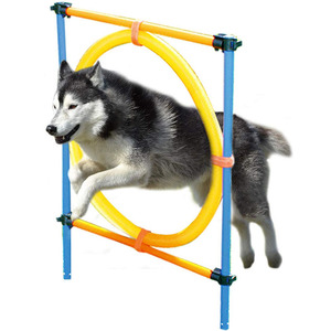Attrezzatura per Addestramento Cani Set Agility per Cani Barra Ostacolo per Cani Gioco di Corsa e Salto per Cani Set per Addestramento all'Obbedienza - Product Image 1