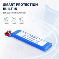 3.2V 3Ah 9.6Wh Baterai Lifepo4 3.2v Side-by-side dengan BMS untuk Lampu Taman Tenaga Surya Lampu Darurat Perangkat IoT Kustom OEM ODM