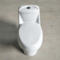 Amérique du Sud Populaire Inodoro Double Chasse Siphonique One Piece Toilette S-trap 300mm Wc Sanitarios Céramique Inodoro Una Pieza