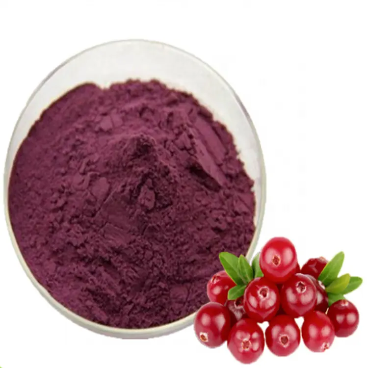 Pasokan pabrik 100% ekstrak buah Cranberry organik alami 50% powder bubuk Vaunium Macrocarpon L
