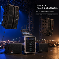 Sistem Speaker Line Array NEARSTAR Dual 12 Inch Paket Audio Konser dengan Amplifier, Rak, dan Frame Pengangkut