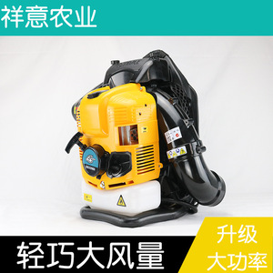 เครื่องเป่าหิมะแบบสะพายหลัง BBX9900 เครื่องยนต์เบนซิน 4 จังหวะ สำหรับมืออาชีพ - Product Image 5