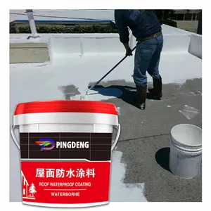 Transparent Waterproof Insulating Sealant Repair Leaks For Exterior Wall Concrete Roof Waterproof Coating Anti-Leakage Agent