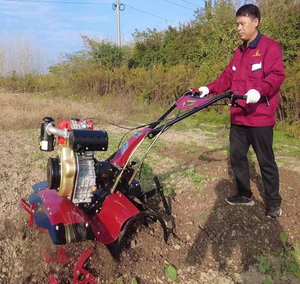 Mini-Selbstfahrender Kultivator Kleine Pflugmaschine Dieselmotor-Bodenfräse - Product Image 2