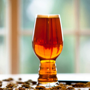 Vaso de cerveza <span class=keywords><strong>IPA</strong></span> cristal hecho a mano 17oz al por mayor transparente estilo americano embalaje en caja con muestra gratis para vino y agua - Product Image 3