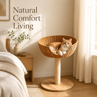 Panier pour chat en rotin tressé naturel avec griffoir en sisal et base en bois massif, mobilier d'intérieur pour animaux de compagnie