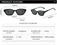 ZS P9196 Nouveaux lunettes de soleil haut de gamme polarisées œil de chat avec monture TR90 et branches en acétate, protection UV, unisexe