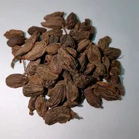 Cardamome noire Badi Elaichi (Amomum Subulatum) – Épice hautement aromatique, grandes gousses brun foncé et ridées, Garam Masala Dal Makhani