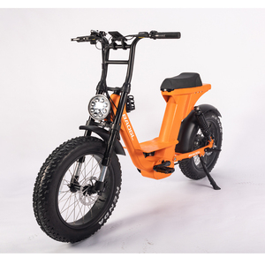 Nouveau Vélo Électrique Baogl pour Femme, 20 Pouces, Suspension Arrière, Style Rétro, Fatbike Tout-Terrain ATV06 PRO - Product Image 1