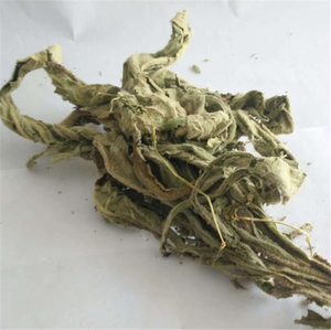100%天然牛蒡草药粉/片，新鲜干燥，价格优惠 - Product Image 2