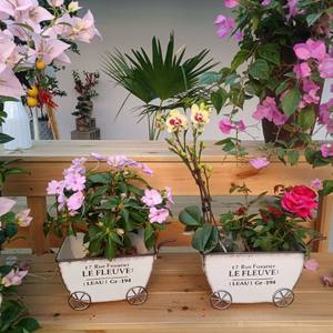 Macetero de Hierro Forjado Retro de Cuatro Ruedas con Envío Rápido para Decoración de Patio de Villa y Casa de Huéspedes, Macetero Sencillo - Product Image 1