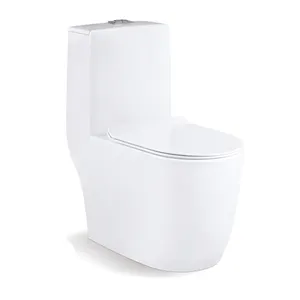 canadian siphonic bathroom one piece compact toilet bowls