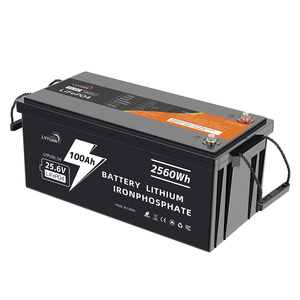 <span class=keywords><strong>Lvyuan</strong></span> High Power 12V 24V Lifepo4 Pack 100Ah 200Ah Batería para sistema solar/Batería de energía Batería de iones de litio - Product Image 1