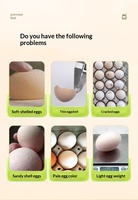 Star Dome Trade Enrichisseur d'aliments pour volailles à base de coquille d'œuf, Acides aminés de qualité alimentaire, Stimulateur de croissance pour poulets de chair, pour la nutrition avicole, 24 mois