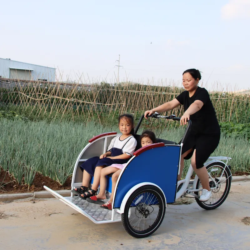 Sepeda Roda Tiga Dewasa Elektrik Dekoratif dengan Becak untuk Iklan Sepeda Roda Tiga Kargo Kustom OEM untuk Dua Penumpang
