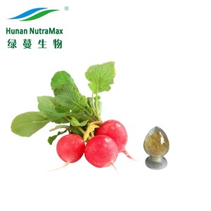 Extrait <span class=keywords><strong>de</strong></span> graines <span class=keywords><strong>de</strong></span> <span class=keywords><strong>navet</strong></span> <span class=keywords><strong>de</strong></span> qualité supérieure, poudre <span class=keywords><strong>de</strong></span> graines <span class=keywords><strong>de</strong></span> radis, extrait <span class=keywords><strong>de</strong></span> graines <span class=keywords><strong>de</strong></span> radis - Product Image 2