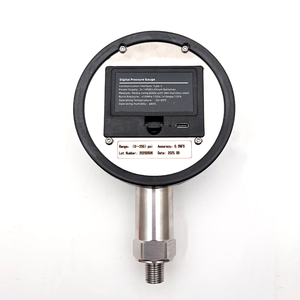 SKA-YS-X2エクスポート可能なデータロガーデジタル圧力ゲージ - Product Image 4