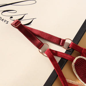 Lolita String <span class=keywords><strong>Anime</strong></span> Mignon Filles Coeur String Réglable Transparent Dentelle Sous-Vêtements Taille Basse Réglable String Slip - Product Image 3