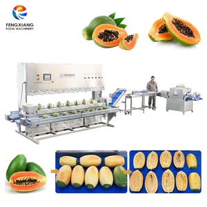 Línea de Pelado y Corte de Papaya de 1000-2000 kg/h, Máquina Peladora de Papaya de Acero Inoxidable de Grado Alimenticio - Product Image 1