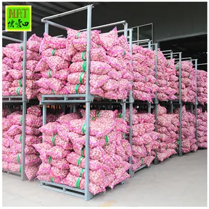Diskon besar 5.5 cm ungu/Merah Bawang putih tanpa kupas untuk grosir dengan celah GLOBAL 2023 ekspor bawang putih putih normal organik Tiongkok terbaru