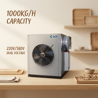 Machine de séchage de manioc à pompe à chaleur de grande capacité pour la transformation de chips et granulés de manioc, système d'alimentation continue de 800 kg