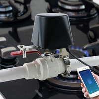 Vanne d'eau intelligente WiFi/Zigbee, vanne de gaz compatible Wi-Fi avec Alexa Google Home, contrôleur d'arrêt