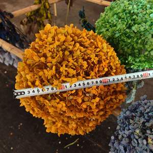 Arreglo <span class=keywords><strong>de</strong></span> flores <span class=keywords><strong>de</strong></span> hortensia Anna preservado natural hecho a mano precio <span class=keywords><strong>de</strong></span> fábrica para el día <span class=keywords><strong>de</strong></span> la madre - Product Image 4