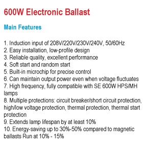 220V 2.26A <strong>Pwoer</strong> Supply Fully Compatible SE 600W HPS/MH Lamps Dimming Function Plant Hydroponics Growth Kit Electronic Ballast - Product Image 3