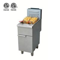 Friteuse à gaz double panier en acier inoxydable, propane/gaz naturel, capacité 1,5L-9,3L, haute efficacité, intelligente, automatique, silencieuse