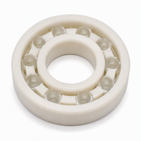 Roulement à billes ouvert en plastique 6005 25x47x12mm avec anneaux en POM, billes en verre et cage en nylon, léger et isolant pour applications de lavage et machines alimentaires