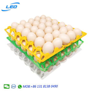 Egg Tray Eggs Tray. Trayegg Best Price Plastic Egg Tray For Chicken Eggs 30 Chicken Eggs Plastic Tray.