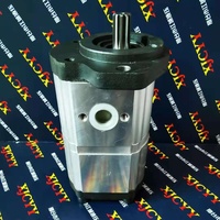 Bombas de Engranajes Hidráulicas XJCYY T4620-31501 con 1 Año de Garantía, Compatibles con Tractores Kioti DK35 DK40 DS4110 DS4110 HS