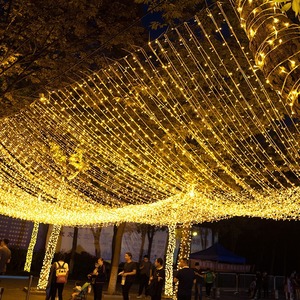 LED Fairy <span class=keywords><strong>String</strong></span> Lights Wasserdichte Beleuchtungs lampe für Party im Freien Hochzeit Weihnachts bäume Garten Dekor - Product Image 2