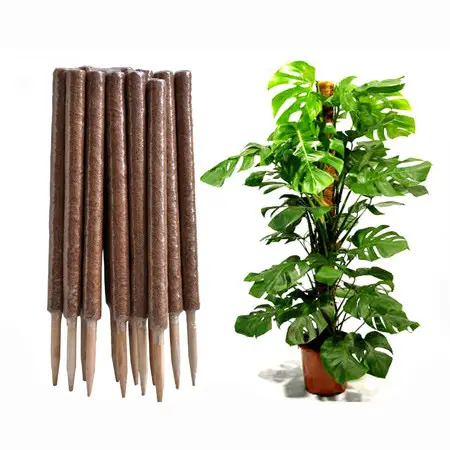 4 шт 60 см цвет 50 см ручка расти через комнатное растение поддержка деревянный кол садовое пластиковое мох Полюс