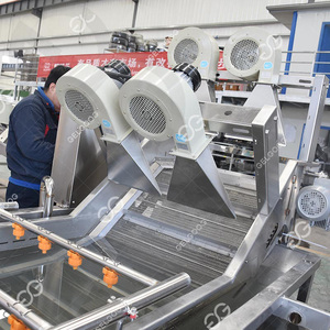 Machine de lavage, de séchage, de revêtement, de tri et d'emballage des fruits Gelgoog, machine de lavage, de roulement et de pulvérisation des fruits - Product Image 4